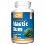 Jarrow Formulas Mastic Gum, 60 капсул