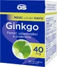 GS Гинкго 40 мг 90 + 30 таблеток
