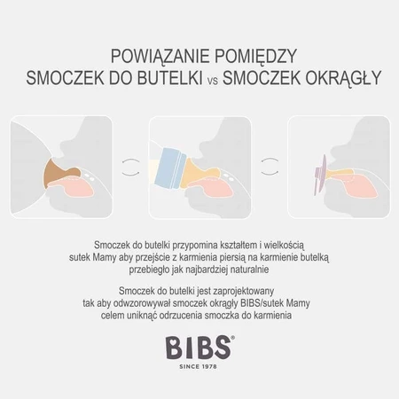 Слюнявчик кольоровий, пустушка, гумовий, непрозорий, розмір 2, Sage, від 6 місяців, 1 шт.: ціни та характеристики