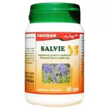 Шалфей Favisan, 40 капсул
