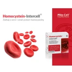 Mito-Pharma Homocysteine Intercell, 90 капсул: цены и характеристики