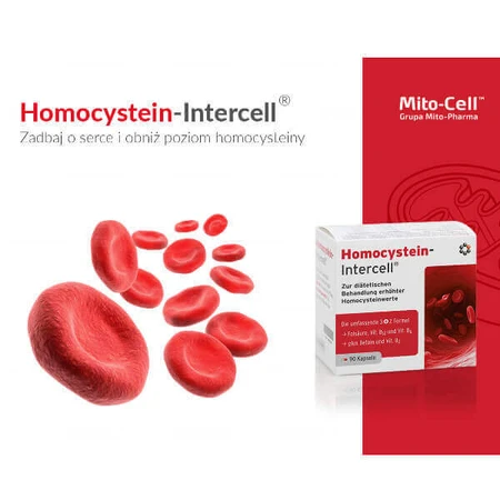 Mito-Pharma Homocysteine Intercell, 90 капсул: цены и характеристики