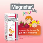 Магнефар B6 Юніор Biofarm Magnefar B6 Junior для дітей з 3 років, малиновий смак, 120 мл: ціни та характеристики