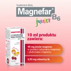 Магнефар B6 Юніор Biofarm Magnefar B6 Junior для дітей з 3 років, малиновий смак, 120 мл: ціни та характеристики