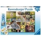Пазл "Детеныш животного", 200 деталей, Ravensburger