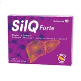 SilQ Forte, 15 капсул, Dr Reddys