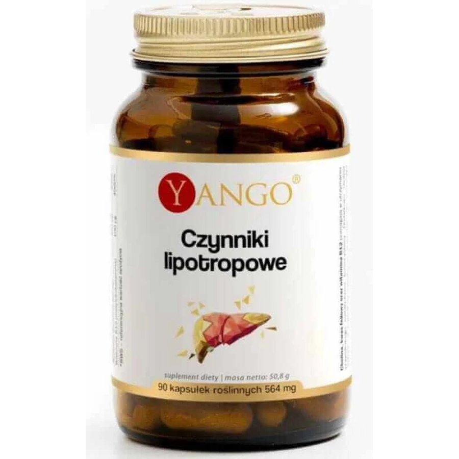 Липотропные факторы 90 капсул Yango: цены и характеристики