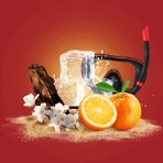 Old Spice Treasure Chest для чоловіків - твердий дезодорант + гель для душу + лосьйон після гоління: ціни та характеристики