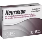 NEUROXAN - FG Pharma 1×45 cps: цены и характеристики