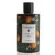 Blue Scents