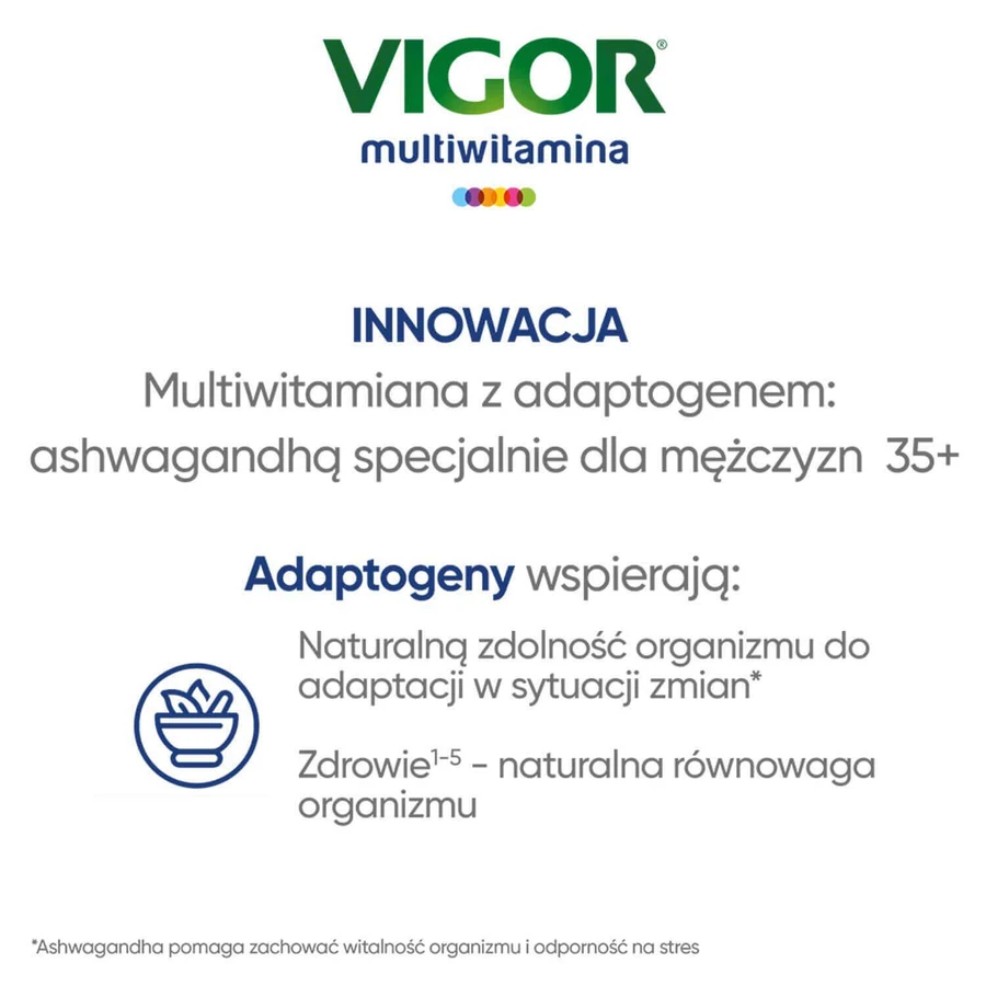 Vigor Multivitamin On, 60 таблеток : цены и характеристики