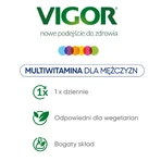 Vigor Multivitamin On, 60 таблеток : цены и характеристики