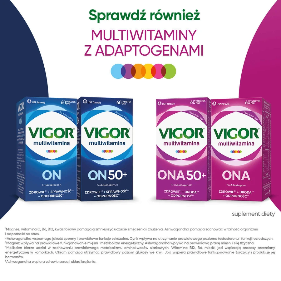Vigor Multivitamin On, 60 таблеток : цены и характеристики