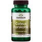 Coleus Forskohlii, 60 капсул, Swanson Health USA