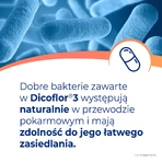 Дикофлор 3,50 капсули: ціни та характеристики