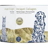 Inca Collagen Incapet Коллагеновый порошок в пакетиках 30 x 3 г