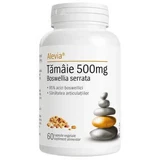 Тамаи 500 мг Boswellia Serrata, 60 капсул, Алевия
