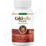 Health Link CALCIRELLA PLUS 1×60 cps, харчова добавка для кісток: ціни та характеристики