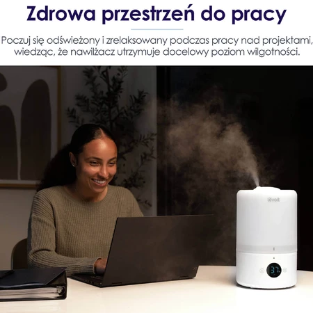 Levoit Dual 200s, увлажнитель воздуха, 1 шт.: цены и характеристики