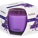 Bolsius Aromatic 2.0 Glass 95x95mm Lavender, ароматическая свеча 1×1 шт, ароматическая свеча: цены и характеристики