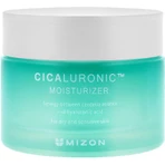 Mizon Cicaluronic Moisturizer - Крем для шкіри проти зморшок 50 мл: ціни та характеристики