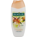 Palmolive Гель для душа Naturals Миндальное молочко 2в1 1×250 мл, со смягчающим молочком: цены и характеристики