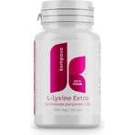 Compava L-LYSINE EXTRA 400 мг 1×60 капс, пищевая добавка: цены и характеристики