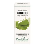 Экстракт почек Гинкго Билоба, 50 мл, Растительный экстракт