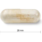 JAMIESON PROBIOTIC 30 MILIARD 1×30 cps, смесь бактериальных культур: цены и характеристики