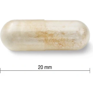 JAMIESON PROBIOTIC 30 MILIARD 1×30 cps, смесь бактериальных культур