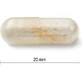 JAMIESON PROBIOTIC 30 MILIARD 1×30 cps, смесь бактериальных культур