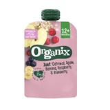 Овсяные снеки с яблоками, бананами, малиной и смородиной, 100 г, Organix