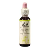 Екстракт Rescue Remedy Chestnut Bud Original Bach, краплі, 20 мл