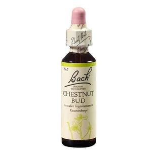 Экстракт Rescue Remedy Chestnut Bud Original Bach, капли, 20 мл