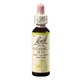 Экстракт Rescue Remedy Chestnut Bud Original Bach, капли, 20 мл