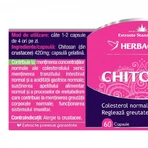 Хитозан Herbagetica, 60 капсул: цены и характеристики