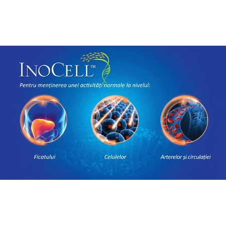 InoCell 500 мг Good Days Therapy, 60 капсул: ціни та характеристики