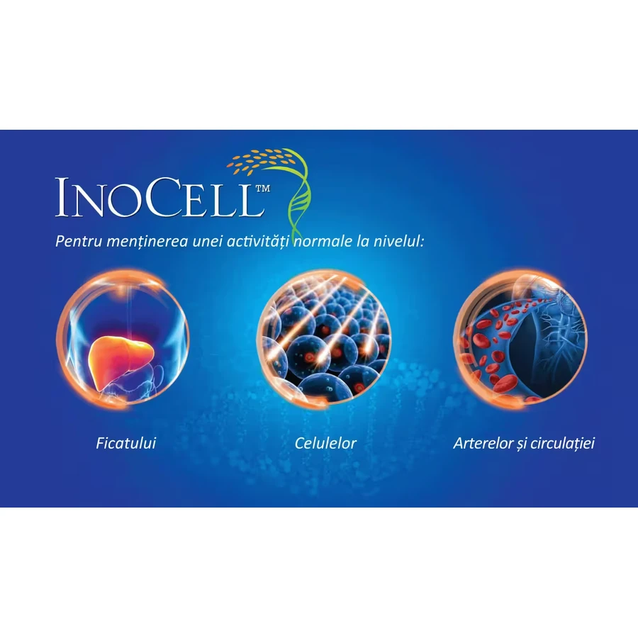 InoCell 500 мг Good Days Therapy, 60 капсул: ціни та характеристики