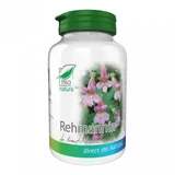Рехмания, 60 капсул, Pro Natura