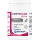 Ergyphilus intima Nutergia (пробіотики, інтимний комфорт) 60 капсул