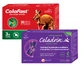 Celadrin Extract Forte Good Days Therapy, 60 капсул + подарок ColaFast Rapid Collagen Good Days Therapy, 30 капсул