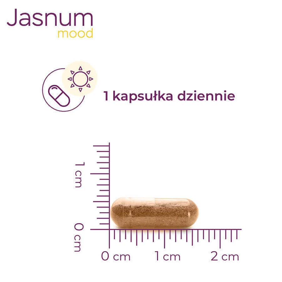 Яснум Настрій, 30 капсул: ціни та характеристики