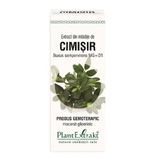 Экстракт мелиссы Cimiir, 50 мл, Растительный экстракт
