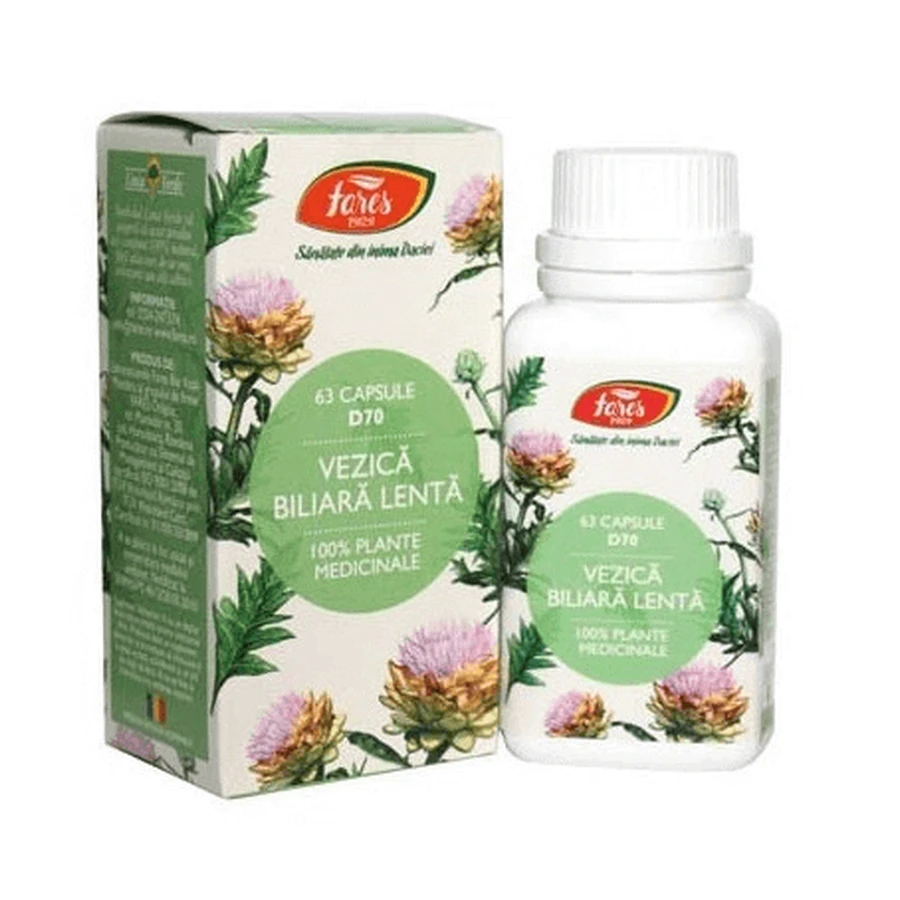 Медленная желчь Vezic, D70, 63 капсулы, Fares: цены и характеристики