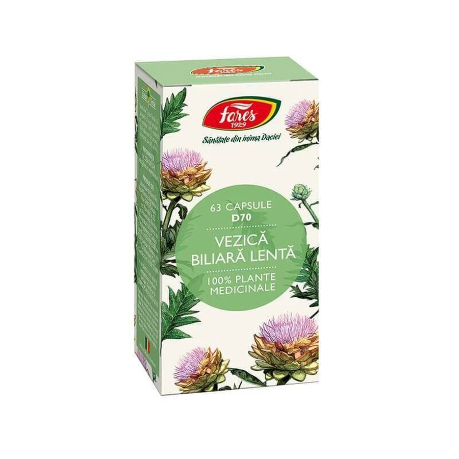 Медленная желчь Vezic, D70, 63 капсулы, Fares: цены и характеристики