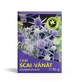 Чай Scai Vanat, 80 г, Гиперикум