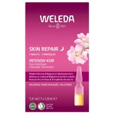Weleda Восстановление кожи, интенсивный уход с шиповником, ампулы, 7 x 0,8 мл