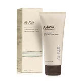 Отшелушивающая маска для лица Time to Clear 81415066, 100 мл, Ahava