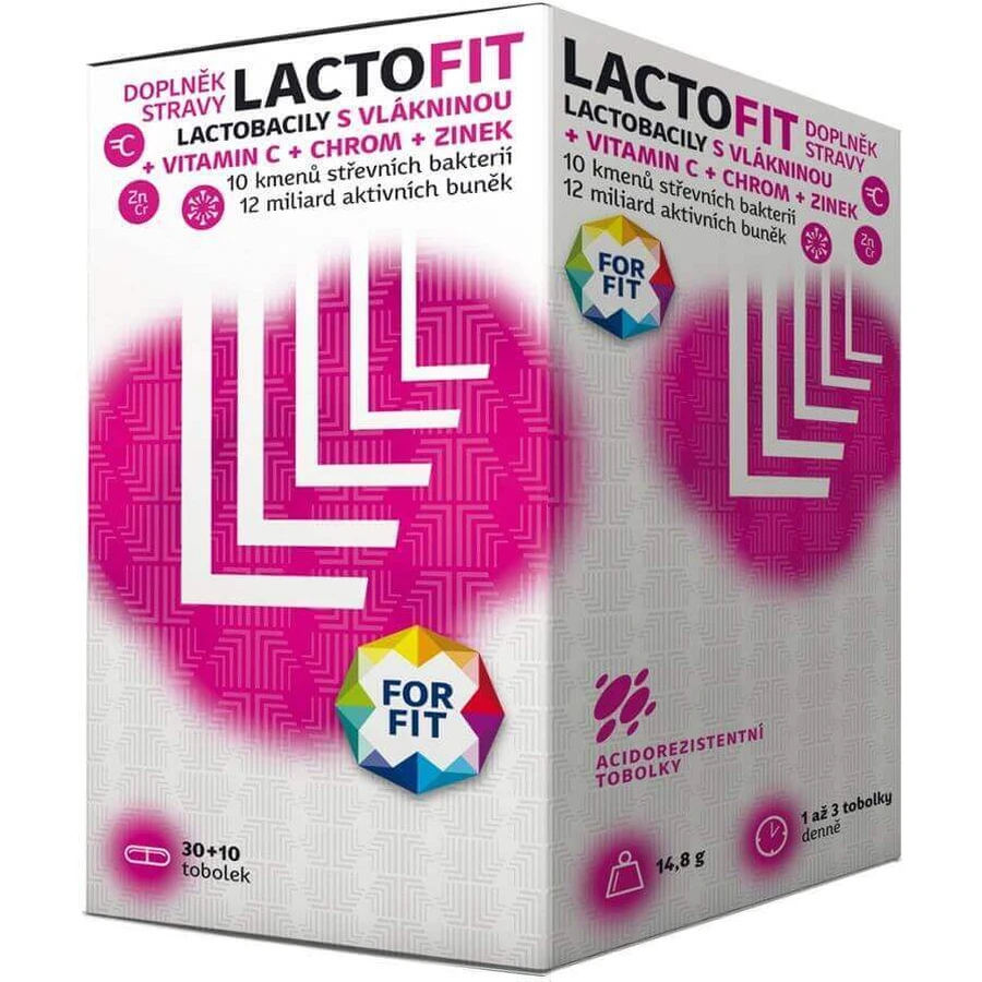 Forfit Lactofit 40 твердых капсул: цены и характеристики