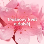Lenor Цветение вишни и шалфей 925 мл: цены и характеристики